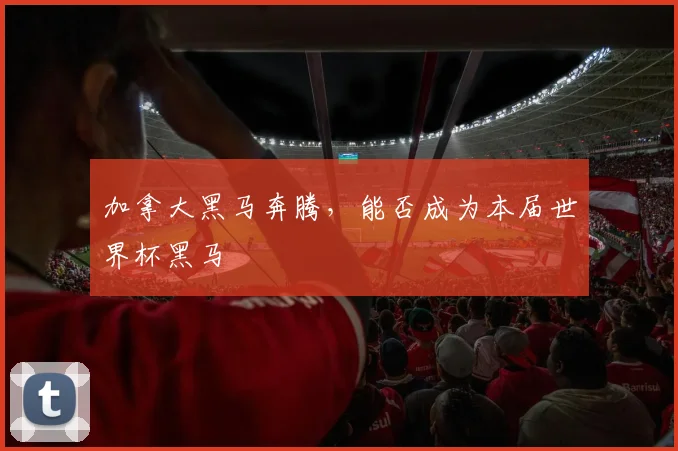 加拿大黑马奔腾，能否成为本届世界杯黑马