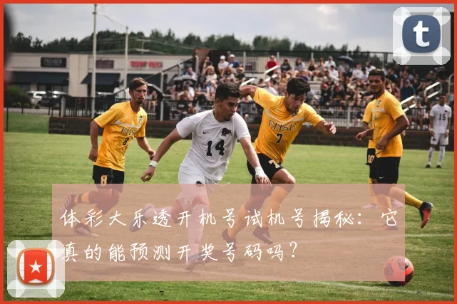 体彩大乐透开机号试机号揭秘：它真的能预测开奖号码吗？
